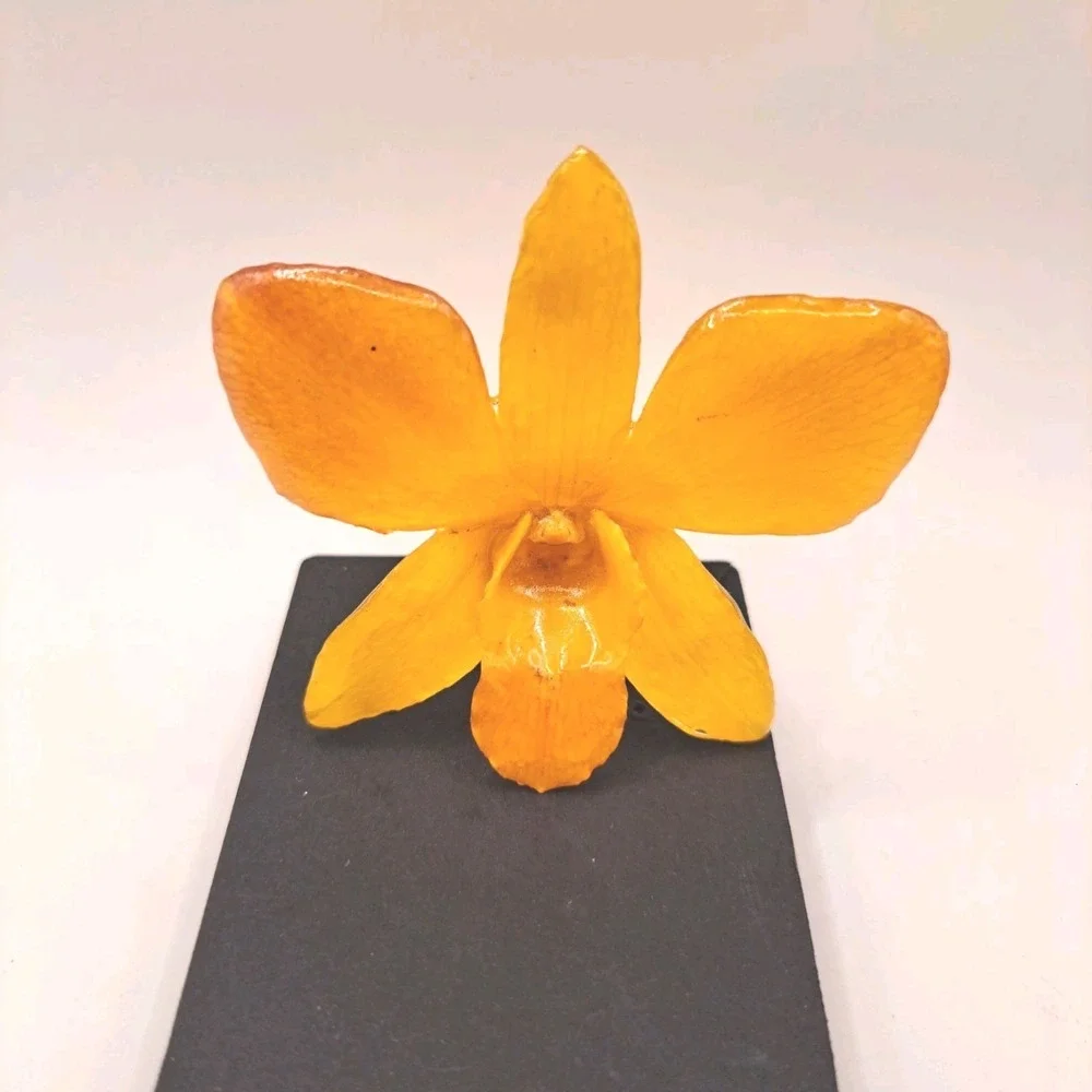 VTG Yellow Orange Orchid  Natural Flower Hat Lapel Pin Resin Beautiful!